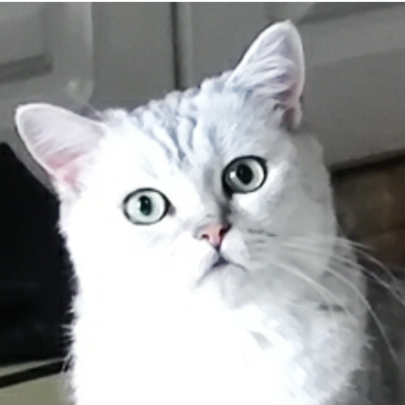 杰森