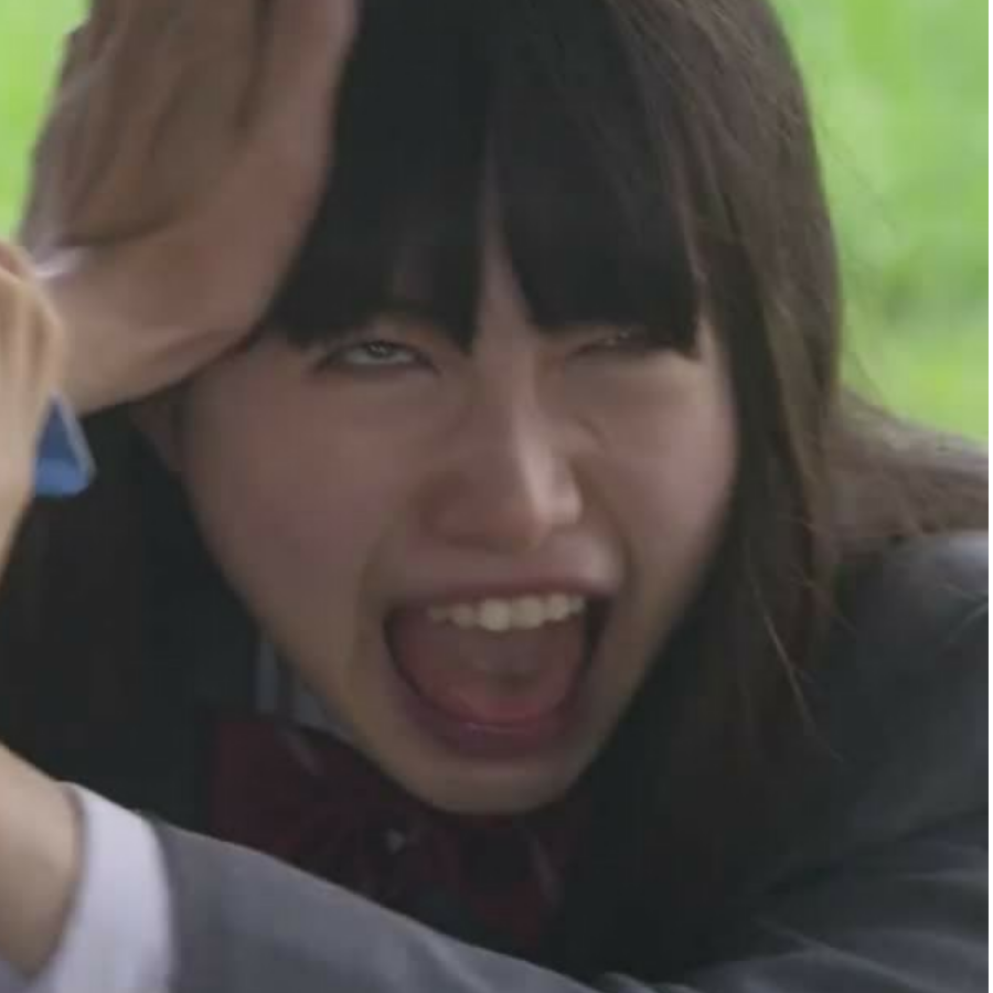 枫溪