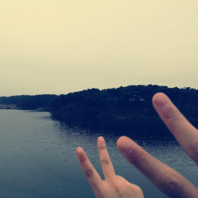 肥鸟