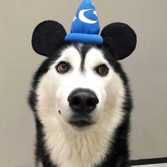 J.