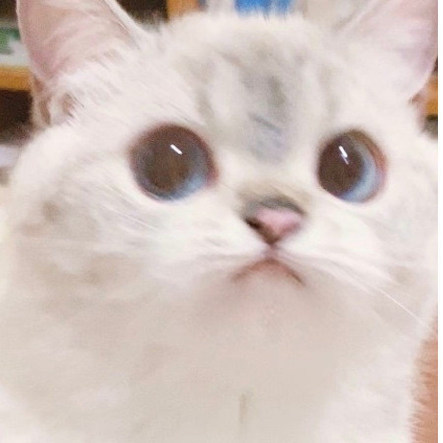 三孤