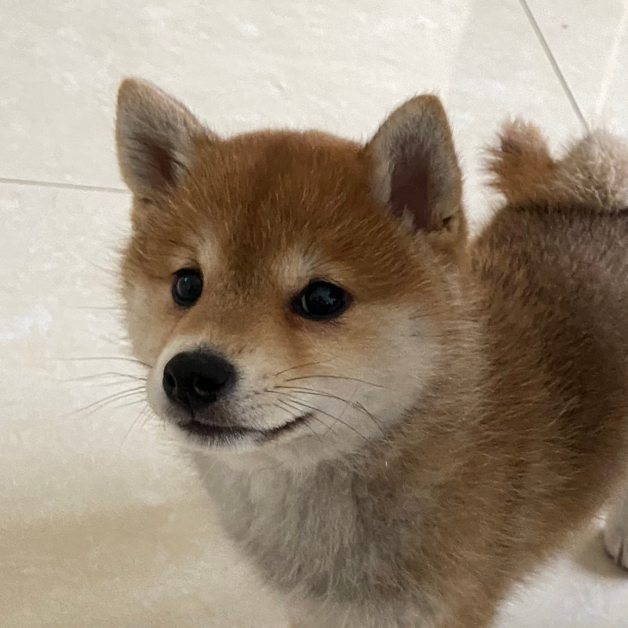 fuokntylns