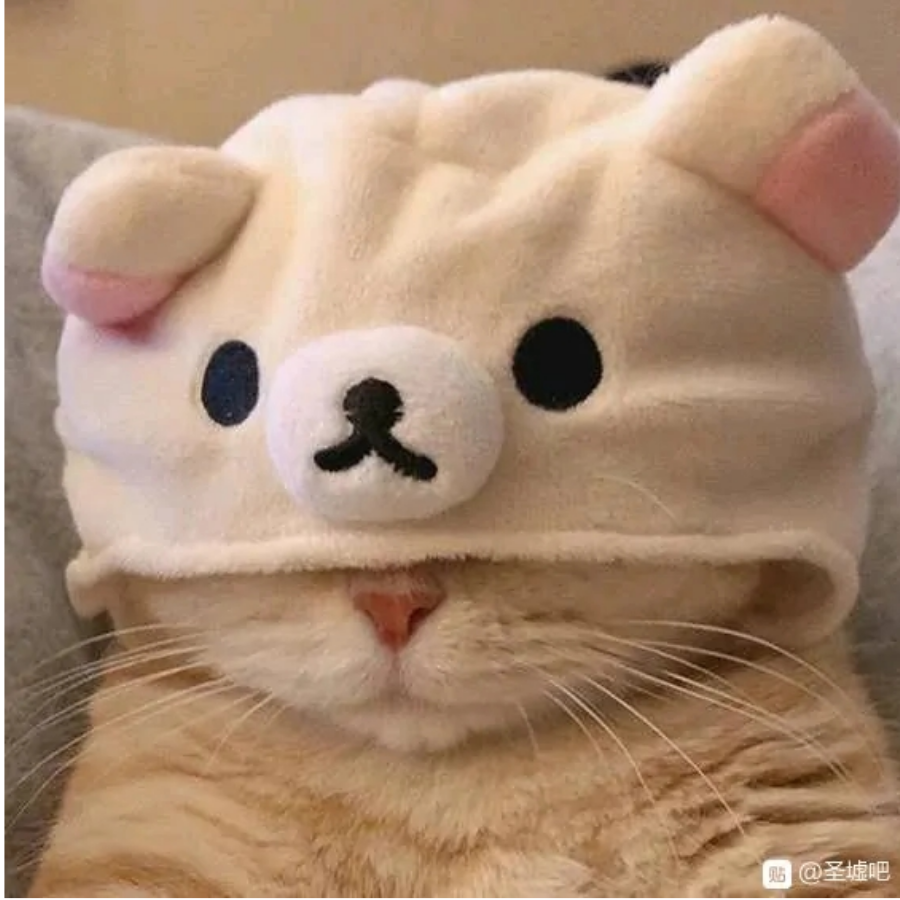 特洛伊·吸吸