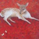 Deer鹿绝尘
