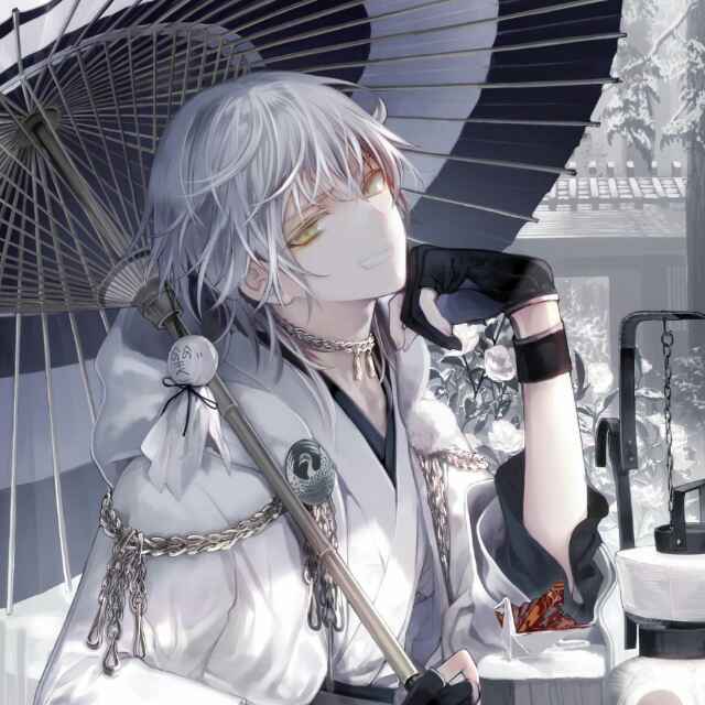 虫子爱蜘蛛