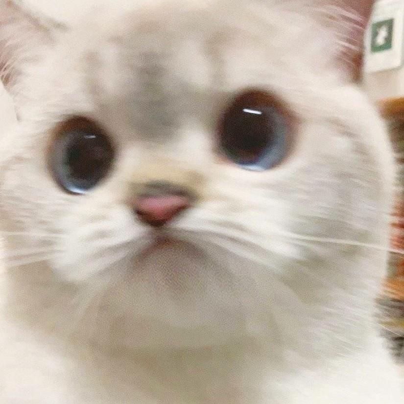 边边白缪