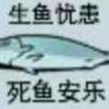 291906059