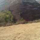User40781905