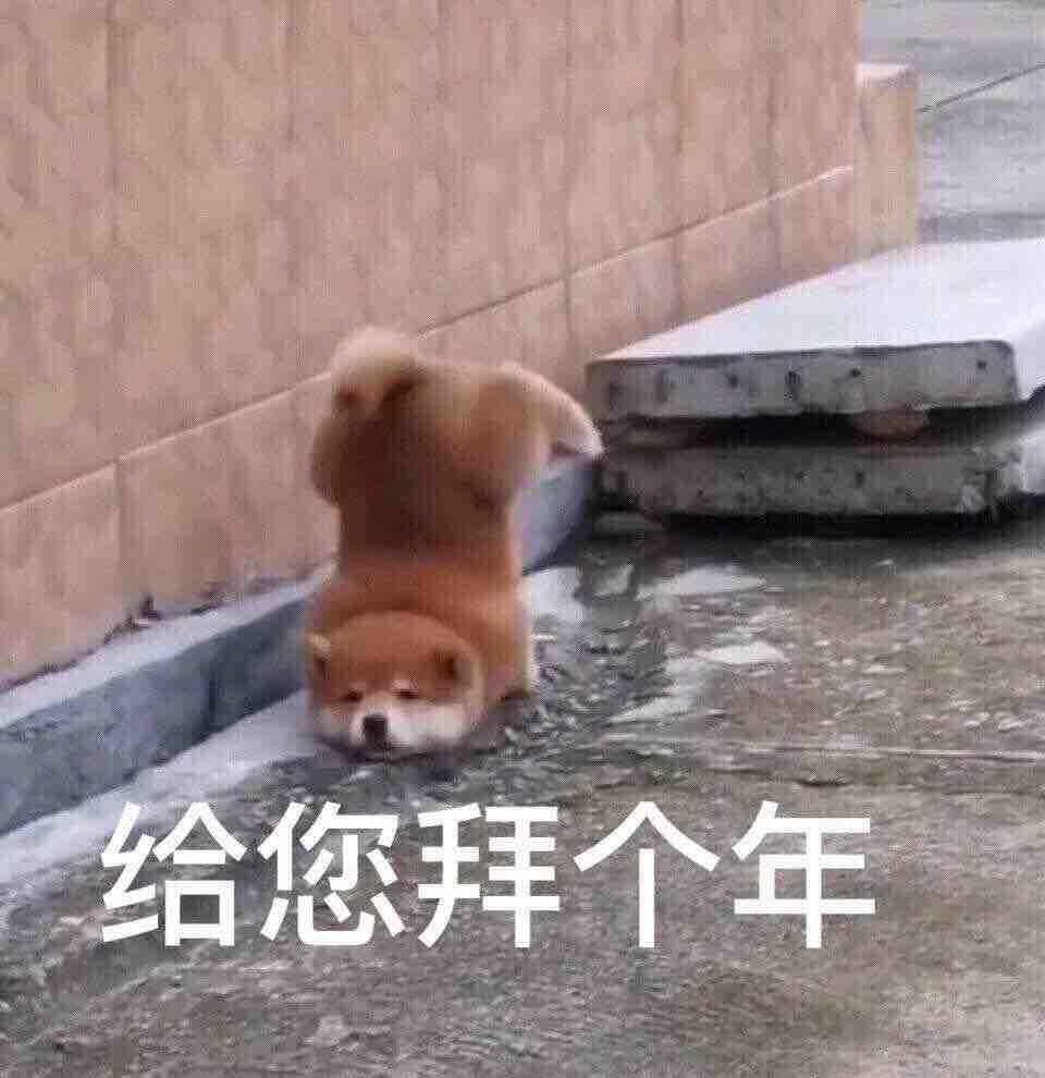 有猫人士刘翠花