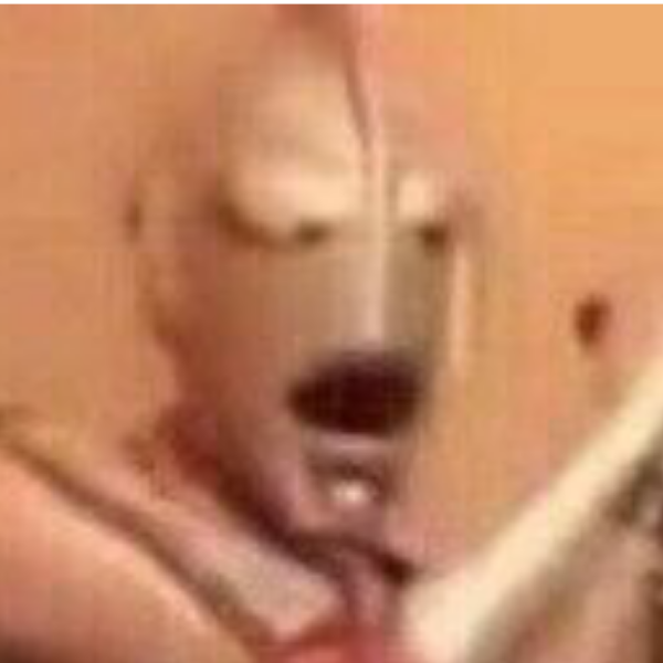 沃德天•魏什么•辣莫帅