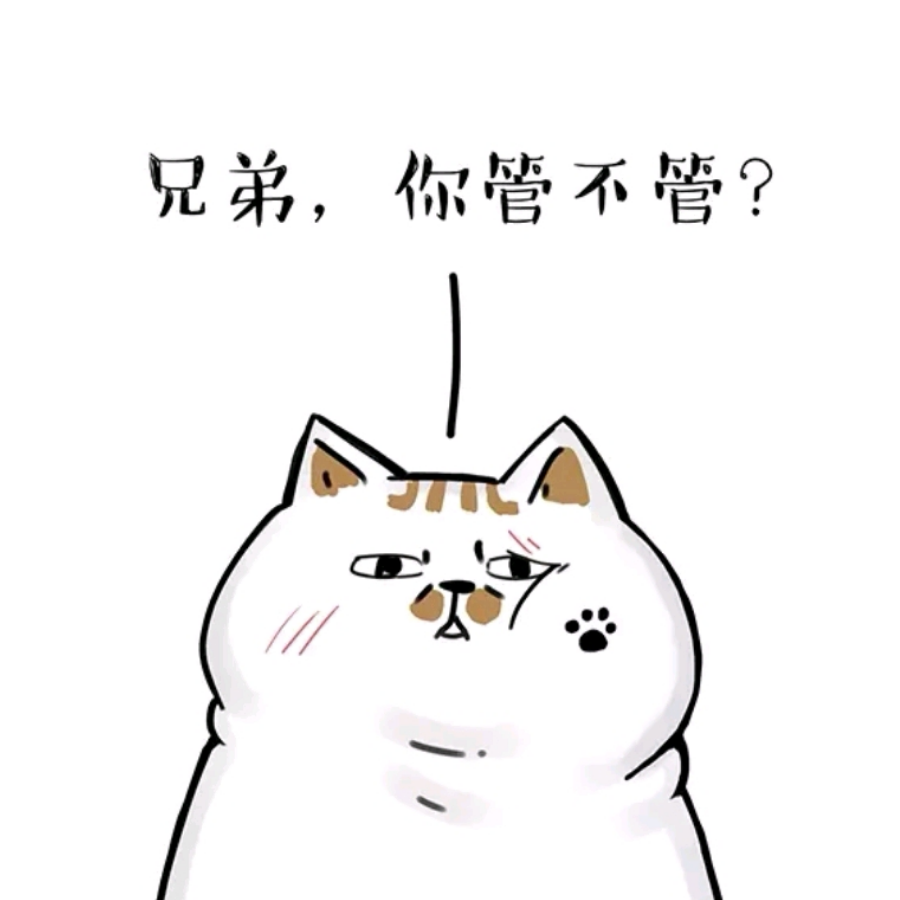 局外人
