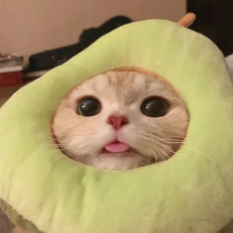 嘎嘎嘎易嘻嘻嘻嘻