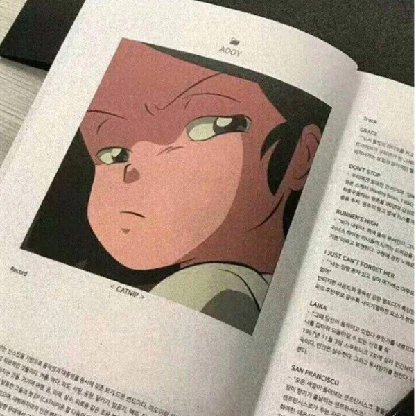 知安