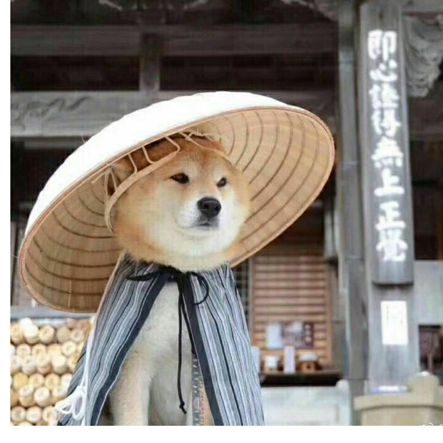 阿峰