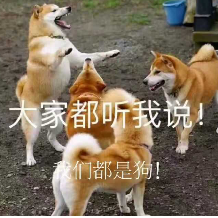 愚者