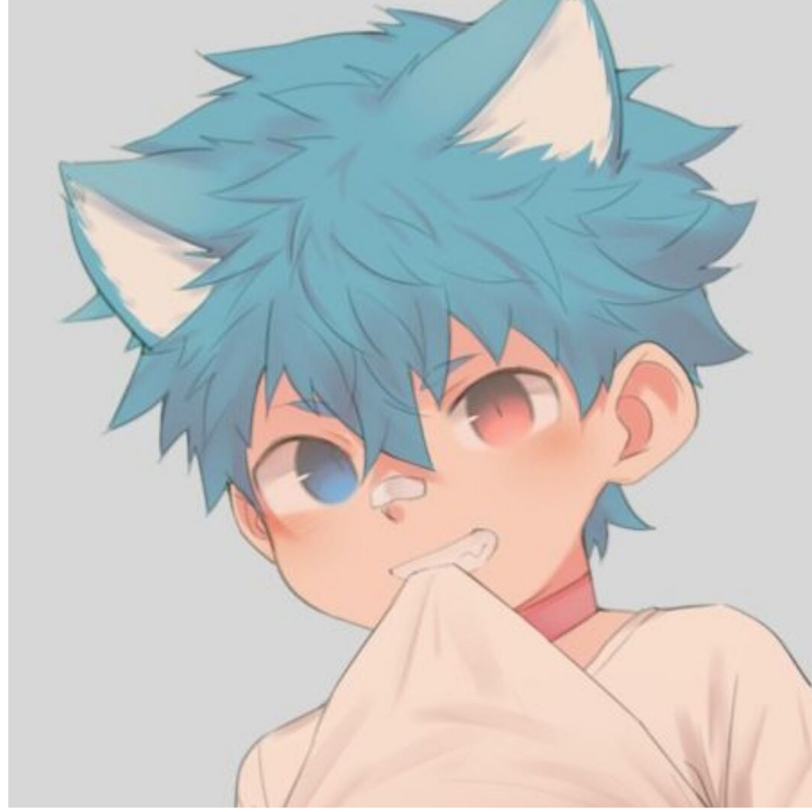 小羽猫