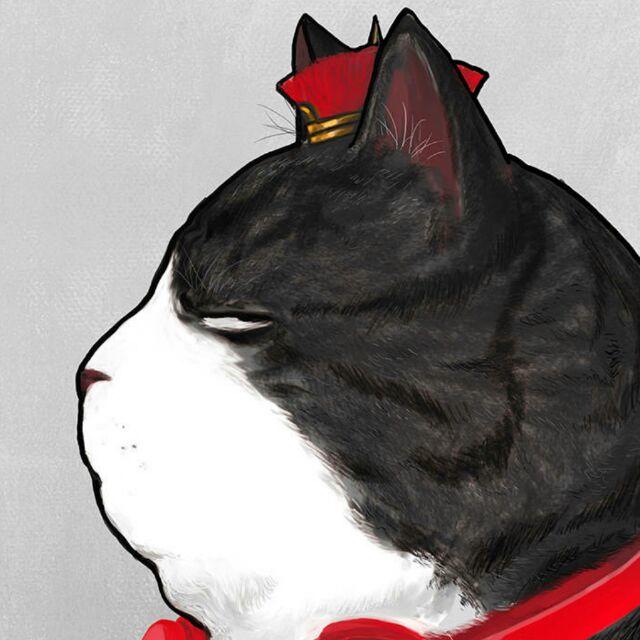 柒柒