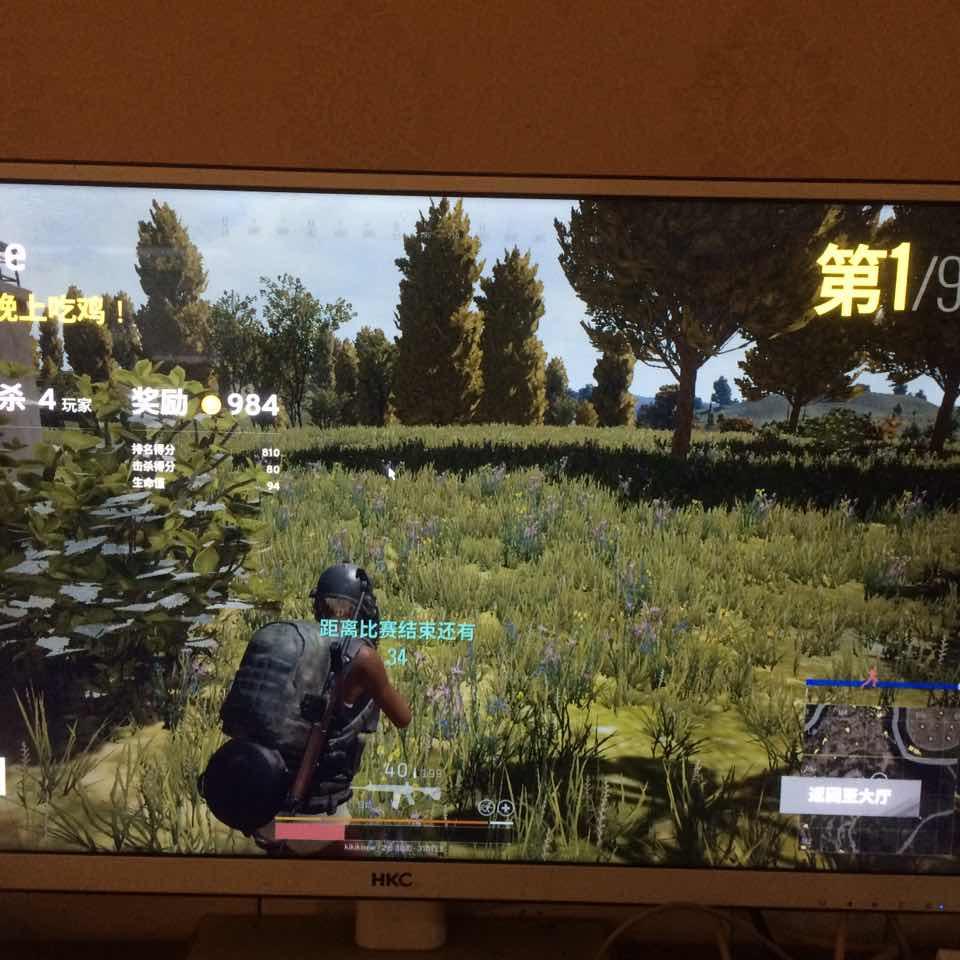 黑果皮