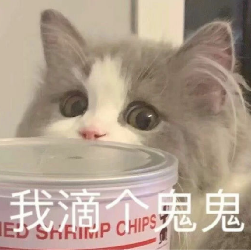 ʕ๑•ɷ•๑ʔ❀