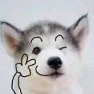 单身王者