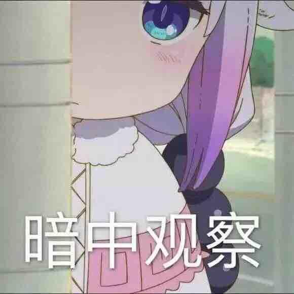 菜籽菌_YX
