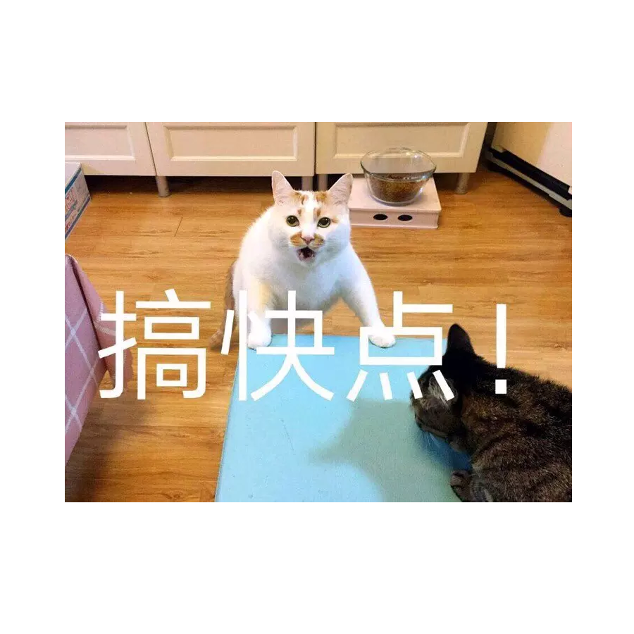 冷场王