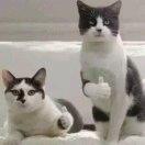 。。