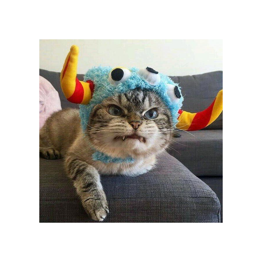 Ooo－Lan