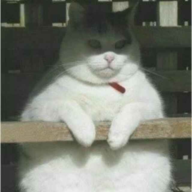 清醒