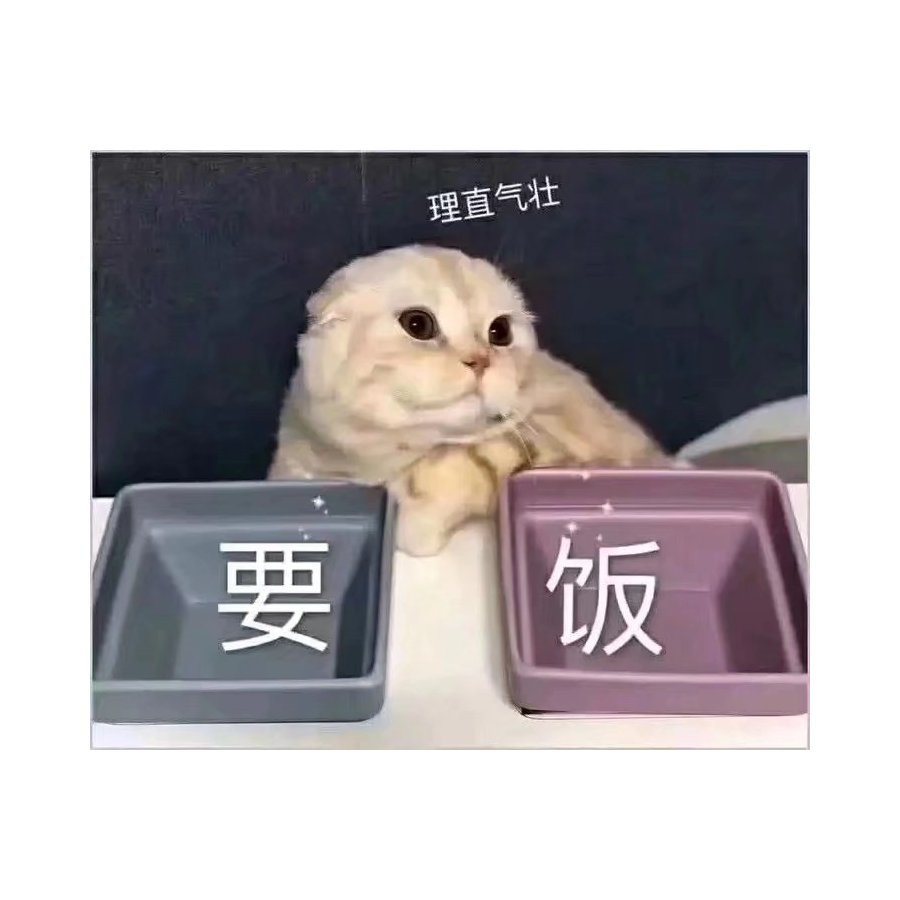 白小金