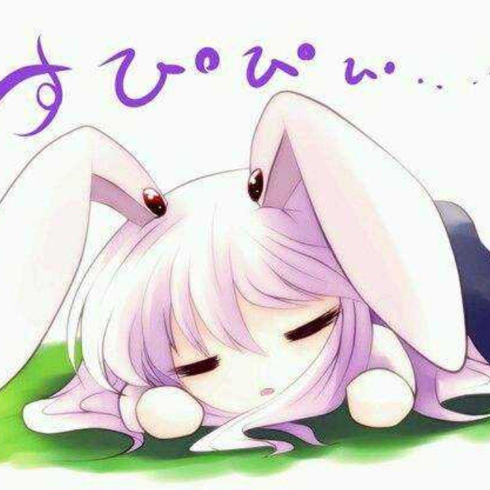 Hu 小姐