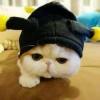 心情至上。