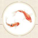 抱歉丶该昵称无法显示29