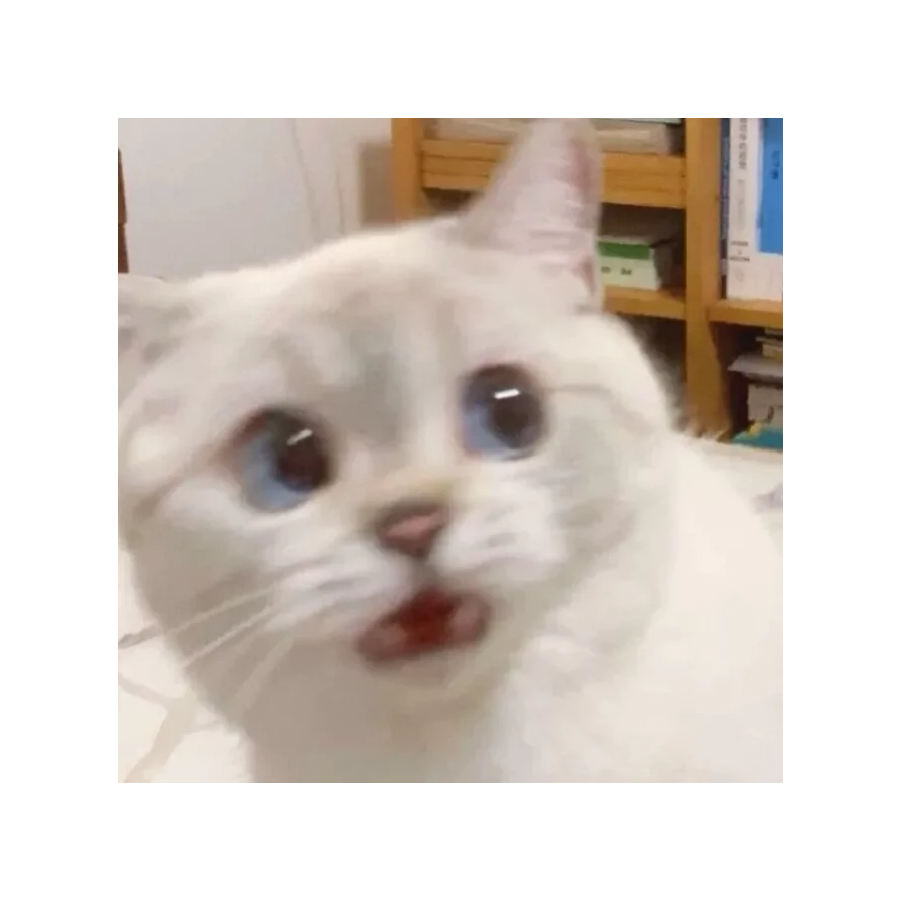 LZ琳子～