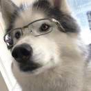 铁骨铮铮王境泽