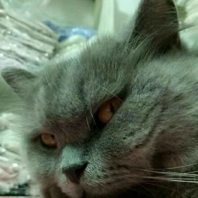 我叫彬