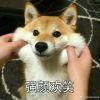 红蓝