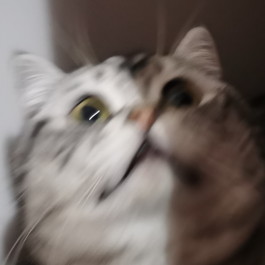 长青