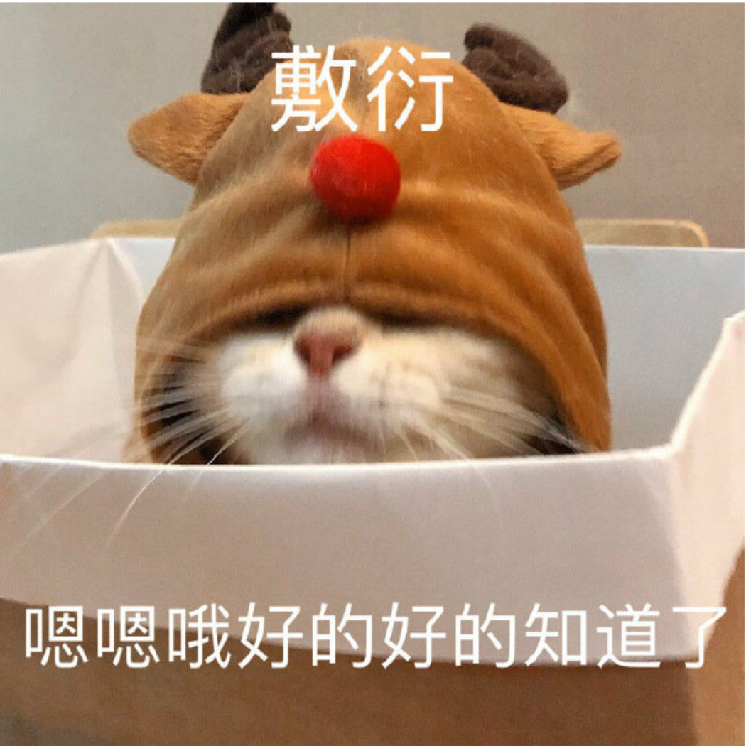 橘橘橘橘猫