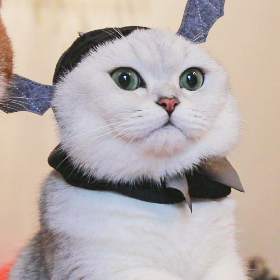 李布二