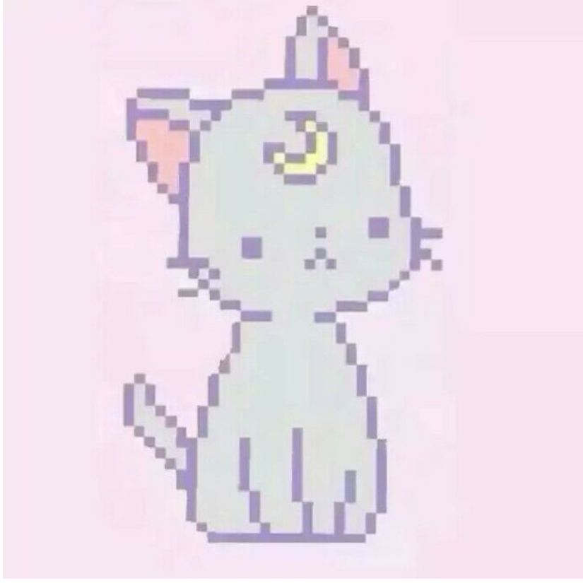 你挺能闹