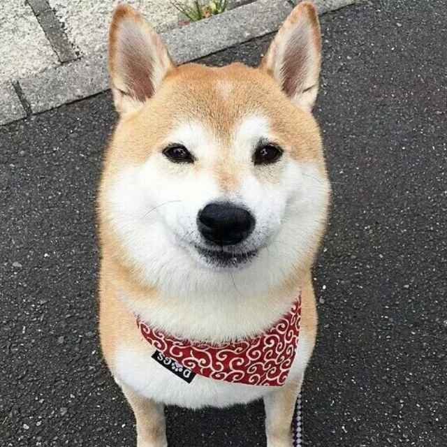 咸鱼