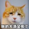 User20162682