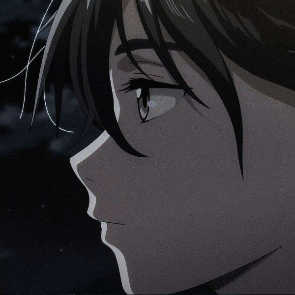 疏影