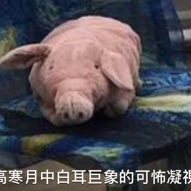 高寒月中白耳巨象的可怖凝視