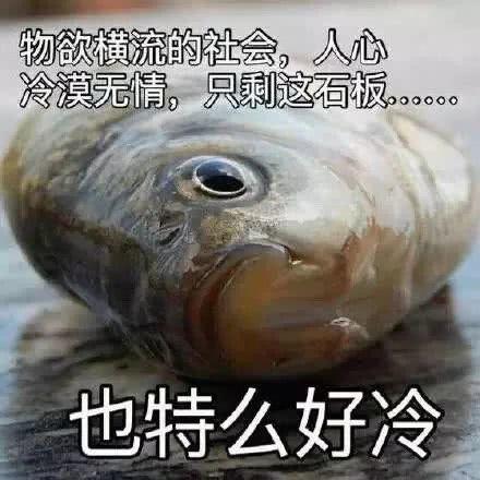 咸鱼涛涛