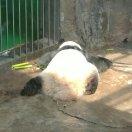 光环降临