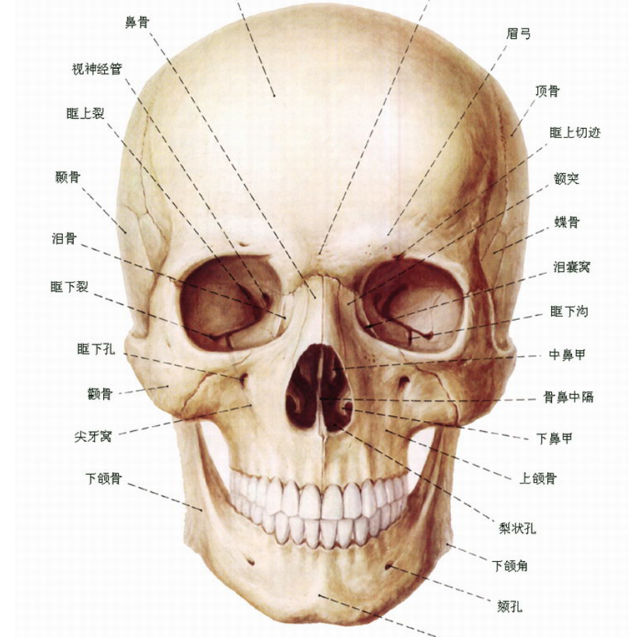 依阿华