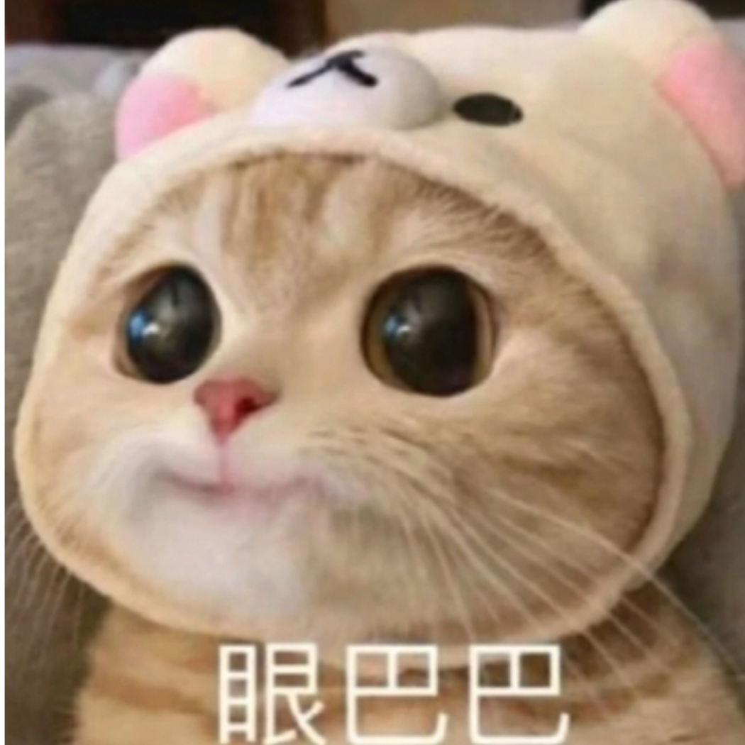 西XS