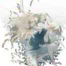 amadeus